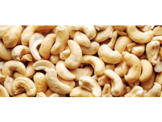 Cashew Nuts W240 High Quality- Best Price