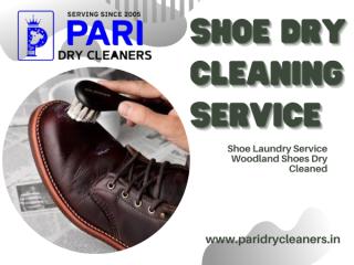 Shoe Dry Cleaning Service in Greater Noida