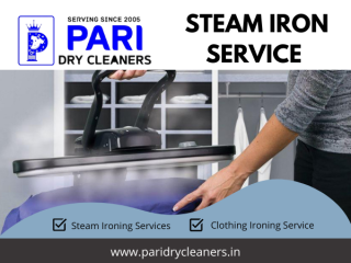 Steam Iron Service in Greater Noida