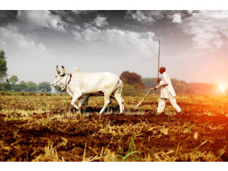 Rashtriya Kisan Manch: A Voice of Farmers
