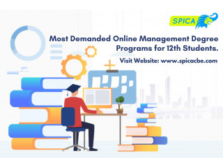 Most Demanded Online Management Degree Programs for 12th Students