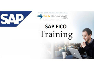 SAP FICO Classes in Delhi, Laxmi Nagar with Accounting, Taxation, Tally, GST, Finance & Controlling Classes by SLA Institute, 100% Job