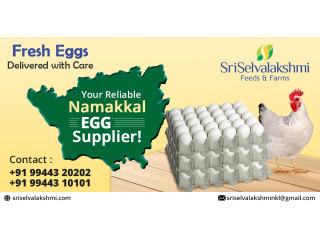 Egg Wholesale Price in Namakkal|Sri selvalakshmi Feeds & Farms