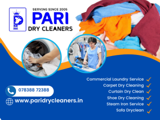Shoe Dry Cleaning in Greater Noida West