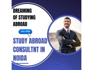 Study Abroad Consultant In Noida