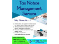 tax-notice-management-service-small-0