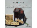 cow-dung-deepam-visakhapatnam-small-0