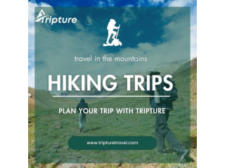 Hiking Trips: Plan Your Trip With Tripture | Homestays in Chikmagalur Bangalore