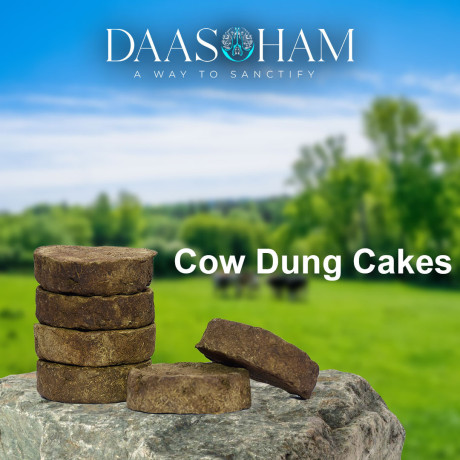 bali-cow-dung-cakes-in-india-big-0