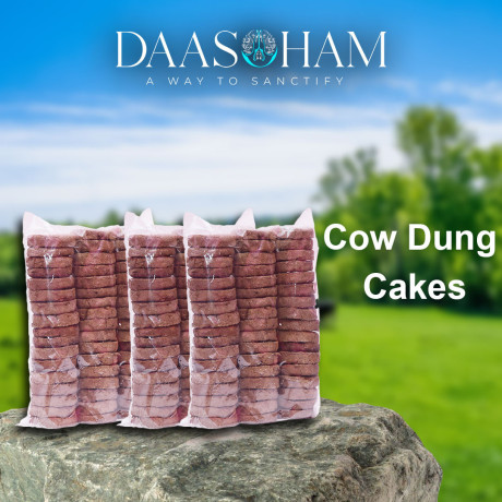 cow-gobar-cake-in-visakhapatnam-big-0