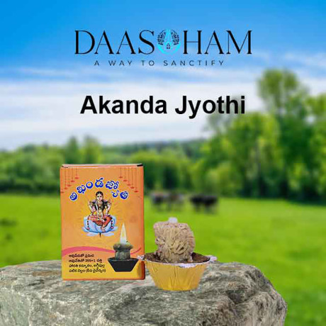 diyas-made-of-cow-dung-in-andhra-pradesh-big-0