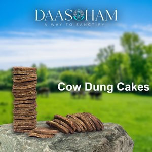 bali-cow-dung-cakes-in-vizag-big-0