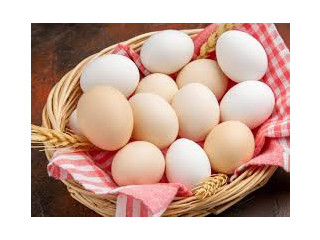 Egg Wholesale Price in Namakkal|Sri selvalakshmi Feeds & Farms