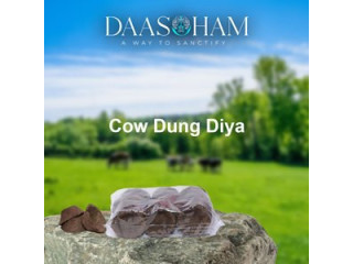 Diyas made of cow dung