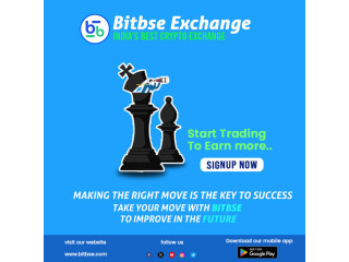 Instant Trading at Your Fingertips: BitBSE's User-Friendly Interface