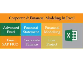 Financial Modelling Course in Delhi, 110074. Best Online Live Financial Analyst Training in Hyderabad by IIT Faculty , [ 100% Job in MNC]