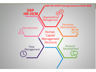SAP HCM Course in Delhi, Laxmi Nagar, SLA Classes, HR Generalist, Human Resource Training Institute,