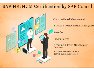 Top 10 HR Course, SAP HCM, HR Payroll Courses in Delhi, Training Institutes - SLA Consultants
