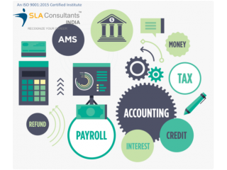 Accounting Course in Delhi, Shahdara, SLA Taxation Institute, SAP, Tally Training Certification,