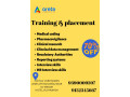 training-placement-small-0