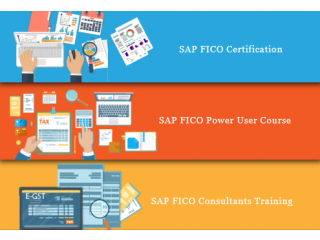SAP FICO Course in Delhi, Faridabad, SLA Finance Institute, SAP s/4 Hana Finance Certification, BAT Training Classes,