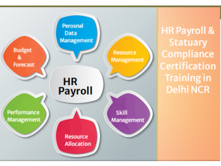 HR Payroll Training Program in Delhi, SLA Certificate, HR Analyst Course for HRBP, SAP HCM Payroll Institute,