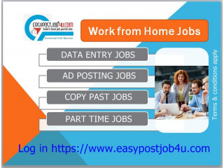Online Data Entry Job Work from Home