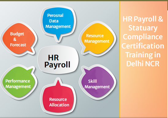 online-hr-course100-job-salary-upto-55-lpa-sla-human-resource-training-classes-payroll-sap-hcm-delhi-noida-ghaziabad-gurgaon-big-0
