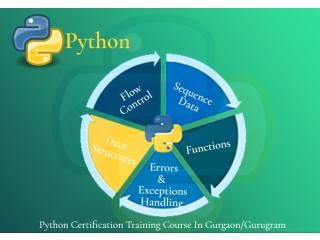Best Python Data Science Training Course, Delhi, Faridabad, Ghaziabad, 100% Job Support with Best Salary Offer, Free Python Certification,
