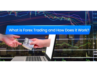 What Is Forex Trading and How Does It Work?