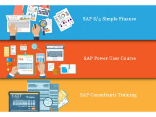 Online SAP Finance Certification in Laxmi Nagar, Delhi, SLA Finance Institute, BAT Training Classes,