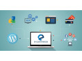 ecommerce-website-development-company-small-0