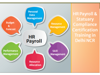 Best HR Payroll Certification in Delhi, Ghaziabad, Noida, SLA Classes, SAP HCM Course, HR Training Institute, 2023 Offer,