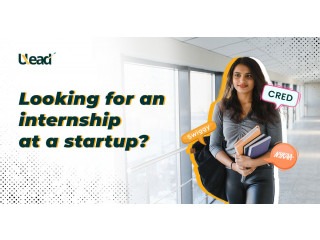 Online Internship- Start Your Career with Startup