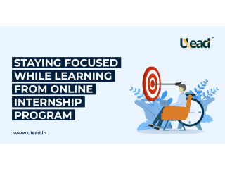 Staying Focused While Learning From Online Internship Program