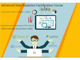 Best Advanced Data Analyst Training Course, Delhi, Noida, Ghaziabad, 100% Job Support with Best Job & Salary Offer