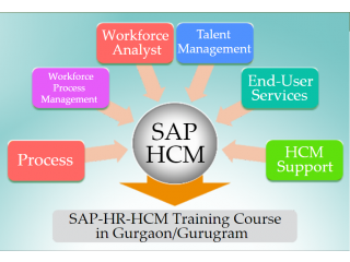 SAP HR Certification in Laxmi Nagar, Delhi, Job Guarantee Course, "SLA ConsultantS" Best Offer in 2023 for Skill Upgrade,