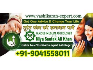 Online Love Vashikaran expert Astrologer