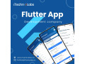 itechnolabs-high-standard-flutter-app-development-company-in-california-small-0