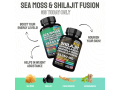boost-your-vitality-with-our-sea-moss-shilajit-fusion-small-1