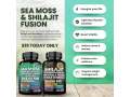 boost-your-vitality-with-our-sea-moss-shilajit-fusion-small-0