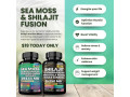 boost-your-health-naturally-with-sea-moss-shilajit-supplements-small-0