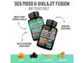 boost-your-health-naturally-with-sea-moss-shilajit-supplements-small-1