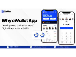 Custom Digital Wallet App Development Solutions