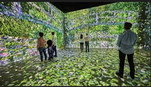 frameless-kitchen-cabinets-big-0