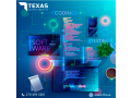 software-development-company-in-texas-usa-small-0