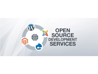 Hire The Best Open Source Developers