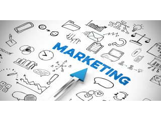Marketing Assistant Needed in Chicago