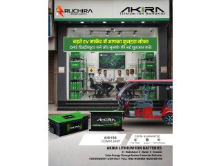 EV Battery Company India