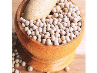 Connect with Verified White Pepper Importers Online